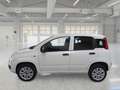 Fiat Panda van 0.9 nat.p. 80cv Pop 2p.ti serie 3 E6d-temp Blanc - thumbnail 4