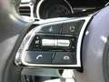Kia XCeed Xceed 1.0 T-GDi Business Grey - thumbnail 20