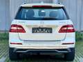 Mercedes-Benz ML 250 CDI BlueTec*Leder*Kamera*Netto 14.933 € Weiß - thumbnail 7