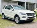 Mercedes-Benz ML 250 CDI BlueTec*Leder*Kamera*Netto 14.933 € Blanc - thumbnail 3