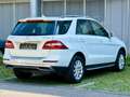 Mercedes-Benz ML 250 CDI BlueTec*Leder*Kamera*Netto 14.933 € Weiß - thumbnail 5