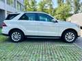 Mercedes-Benz ML 250 CDI BlueTec*Leder*Kamera*Netto 14.933 € Weiß - thumbnail 4