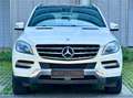 Mercedes-Benz ML 250 CDI BlueTec*Leder*Kamera*Netto 14.933 € Weiß - thumbnail 2
