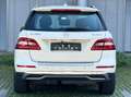 Mercedes-Benz ML 250 CDI BlueTec*Leder*Kamera*Netto 14.933 € Weiß - thumbnail 6