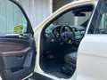 Mercedes-Benz ML 250 CDI BlueTec*Leder*Kamera*Netto 14.933 € Weiß - thumbnail 10