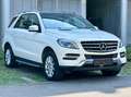 Mercedes-Benz ML 250 CDI BlueTec*Leder*Kamera*Netto 14.933 € Weiß - thumbnail 3