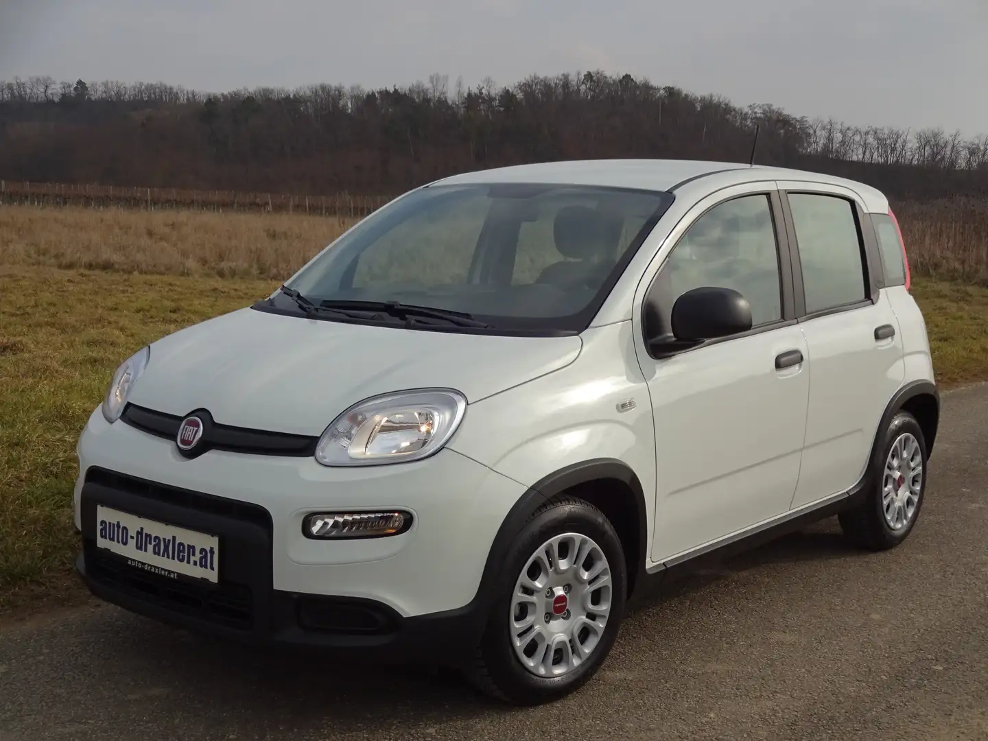 Fiat Panda 4x2 FireFly Hybrid 70 PDC Klima Weiß - 1