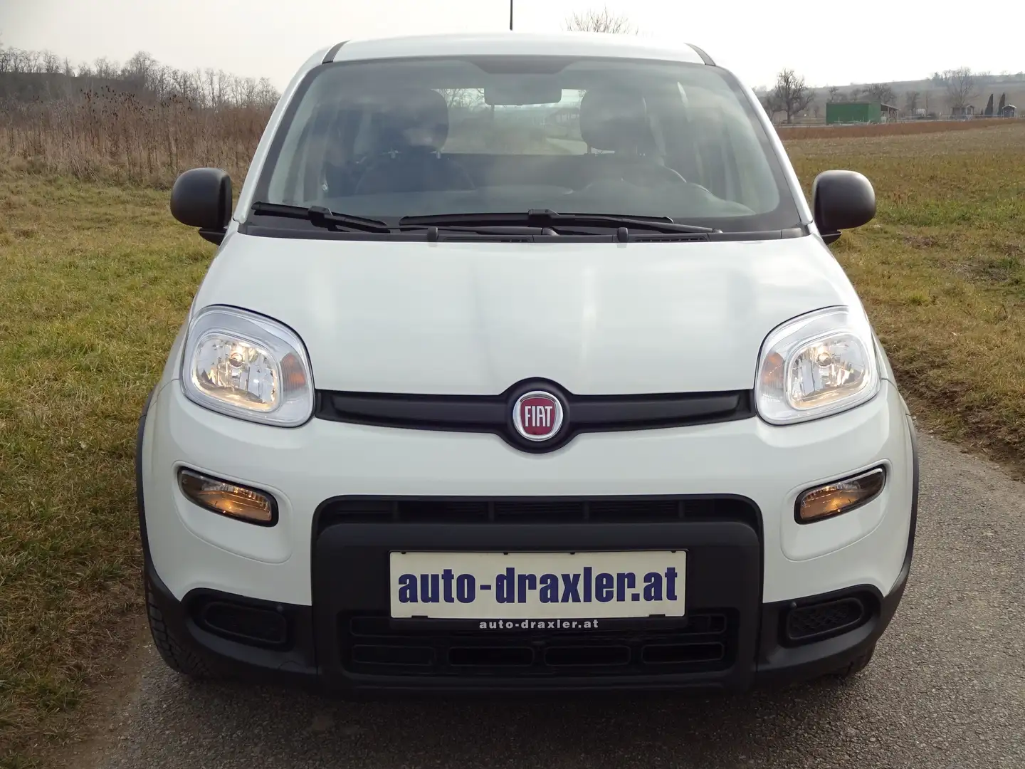 Fiat Panda 4x2 FireFly Hybrid 70 PDC Klima Weiß - 2