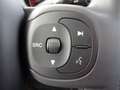 Fiat Panda 4x2 FireFly Hybrid 70 PDC Klima Weiß - thumbnail 16
