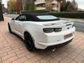 Chevrolet Camaro 2LT 2.0L Turbo 275 Cv Nuova, Full Opt Blanc - thumbnail 4