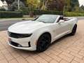 Chevrolet Camaro 2LT 2.0L Turbo 275 Cv Nuova, Full Opt Blanc - thumbnail 5