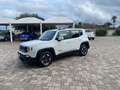 Jeep Renegade Renegade 1.6 mjt Business fwd 120cv auto Bianco - thumbnail 2