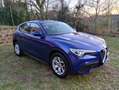 Alfa Romeo Stelvio Stelvio 2.2 t Business Q4 190cv auto Blue - thumbnail 1