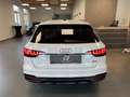 Audi A4 40 TDI SPORT QUATTRO 3X SLINE BLACK EDITION Weiß - thumbnail 10
