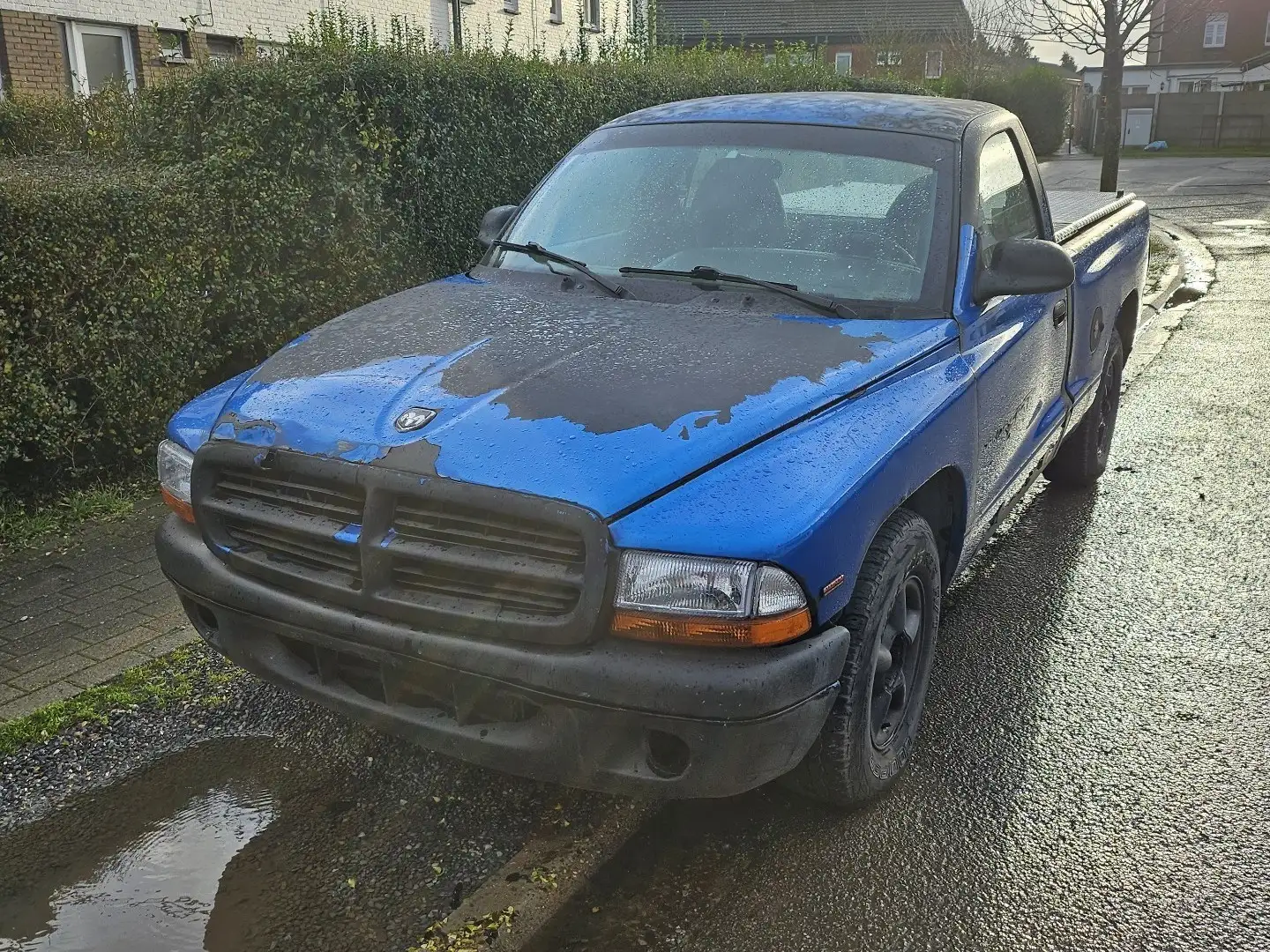 Dodge Dakota Niebieski - 1