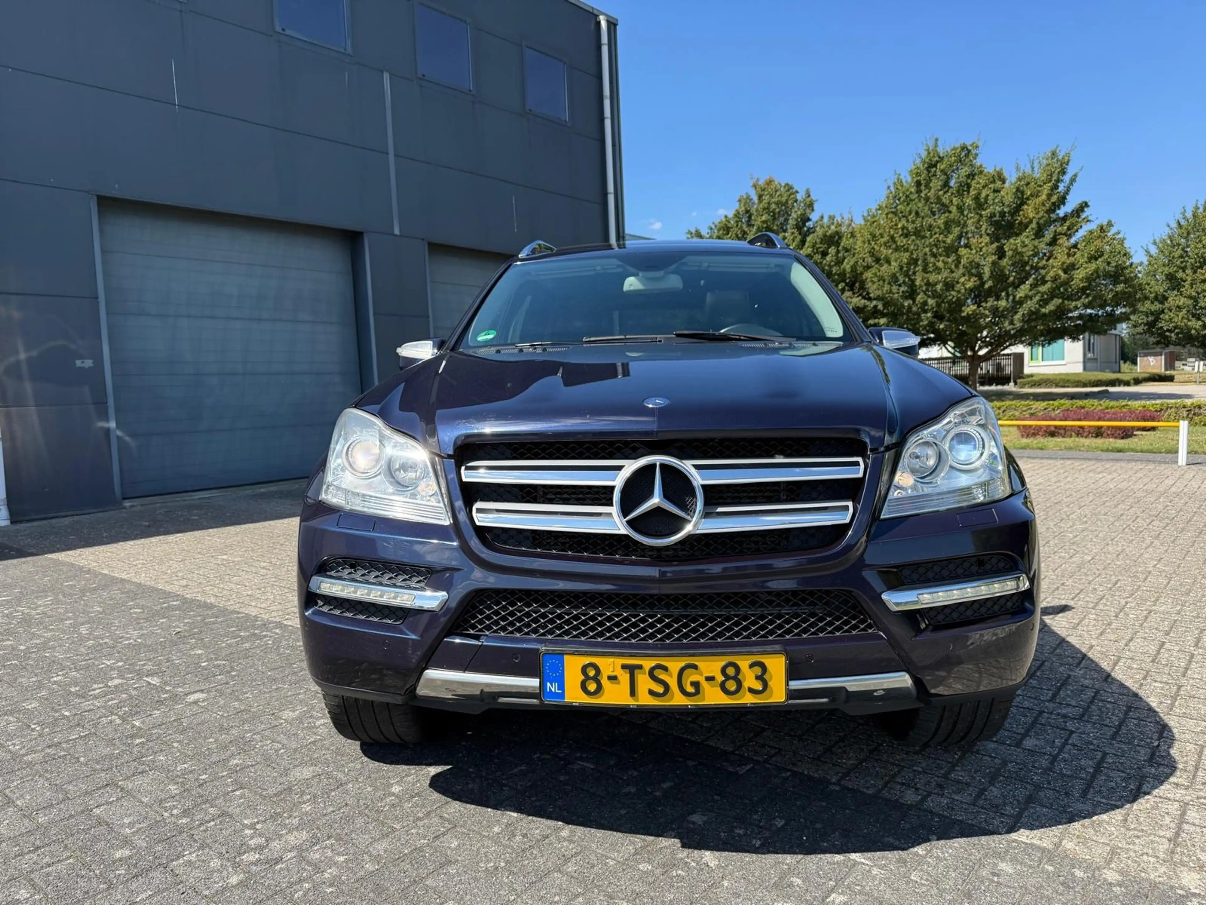 Mercedes-Benz GL 350 CDI BlueEFFICIENCY 2010 — photo 5