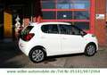 Citroen C1 Airscape Feel Edition+44.000 KM+1.Hand+Klima+ Weiß - thumbnail 10