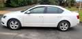 Skoda Octavia Octavia 1.6 TDI 105 CR FAP Business Plus 3 Blanc - thumbnail 2