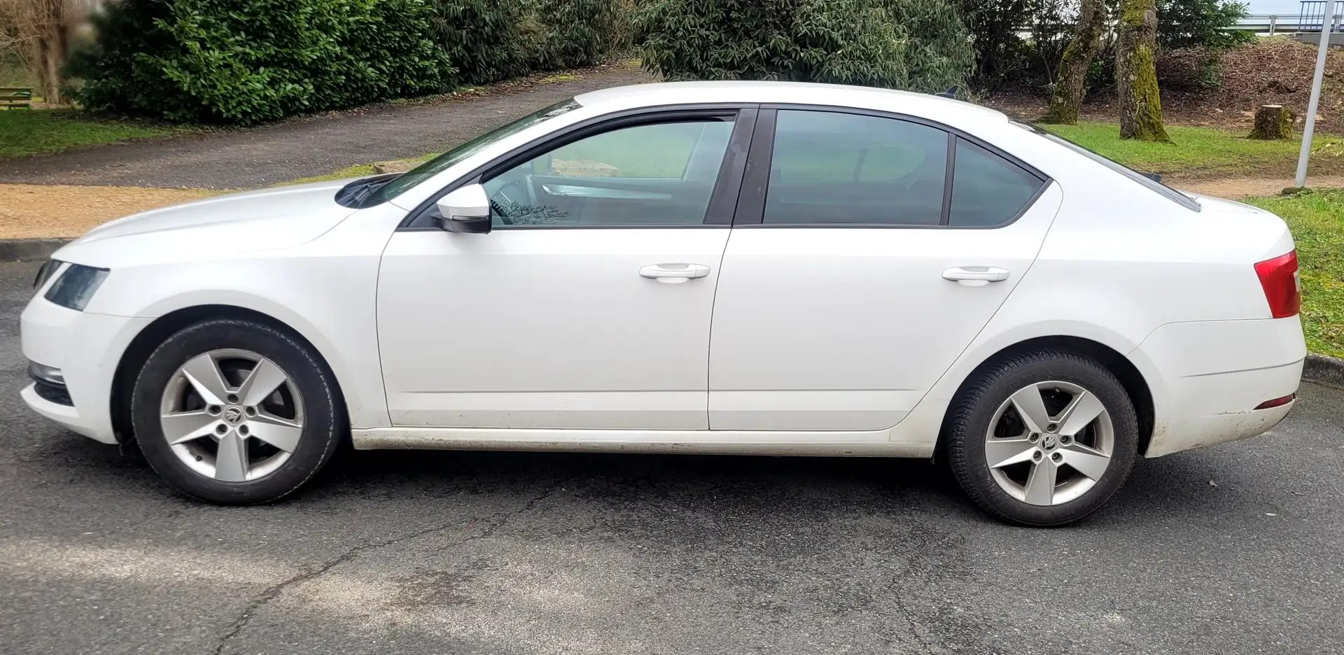 Skoda Octavia Octavia 1.6 TDI 105 CR FAP Business Plus 3 Blanc - 2