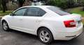 Skoda Octavia Octavia 1.6 TDI 105 CR FAP Business Plus 3 Blanc - thumbnail 3