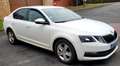 Skoda Octavia Octavia 1.6 TDI 105 CR FAP Business Plus 3 Blanc - thumbnail 9