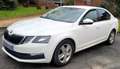 Skoda Octavia Octavia 1.6 TDI 105 CR FAP Business Plus 3 Blanc - thumbnail 10