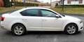 Skoda Octavia Octavia 1.6 TDI 105 CR FAP Business Plus 3 Blanc - thumbnail 5