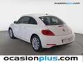 Volkswagen Beetle 1.6TDI Design 105 Blanco - thumbnail 4