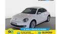 Volkswagen Beetle 1.6TDI Design 105 Blanco - thumbnail 1