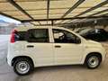 Fiat Panda 1.3 MJT S&S Pop Van 2 posti Bianco - thumbnail 3