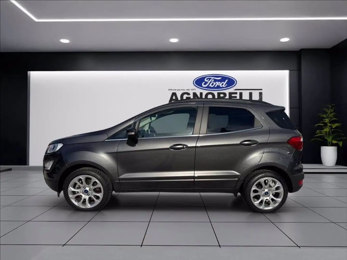 Ford EcoSport 1.0 ecoboost Titanium s&s 125cv my20.25 Grigio - 2