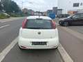 Fiat Punto 1.2i Easy**12M GARANTIE** Bianco - thumbnail 6