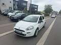 Fiat Punto 1.2i Easy**12M GARANTIE** Bianco - thumbnail 1