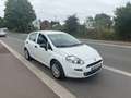 Fiat Punto 1.2i Easy**12M GARANTIE** Bianco - thumbnail 3