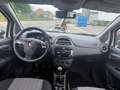 Fiat Punto 1.2i Easy**12M GARANTIE** Bianco - thumbnail 11