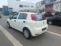 Fiat Punto 1.2i Easy**12M GARANTIE** Bianco - thumbnail 9