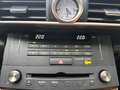 Lexus RC 300h Business Line Pro Navi Leder Cruisecontrol Grau - thumbnail 15