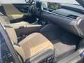 Lexus ES 300 h Luxury Line *Matrix*HUD*360°*Leder*TWA* Blauw - thumbnail 20