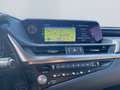 Lexus ES 300 h Luxury Line *Matrix*HUD*360°*Leder*TWA* Blau - thumbnail 15