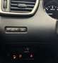 Nissan Qashqai Qashqai II  Business 110cv ok neopatentati Grigio - thumbnail 12