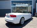 Audi A5 Cabrio 3.0TDI quattro S-Tronic 245 Blanc - thumbnail 5