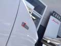 Audi A5 Cabrio 3.0TDI quattro S-Tronic 245 Blanc - thumbnail 15