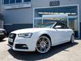 Audi A5 Cabrio 3.0TDI quattro S-Tronic 245 Blanc - thumbnail 1