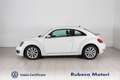 Volkswagen Maggiolino 1.4 TSI Design 160CV Bianco - thumbnail 3