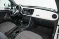 Volkswagen Maggiolino 1.4 TSI Design 160CV Bianco - thumbnail 11