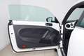 Volkswagen Maggiolino 1.4 TSI Design 160CV Bianco - thumbnail 12