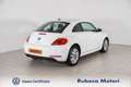 Volkswagen Maggiolino 1.4 TSI Design 160CV Bianco - thumbnail 4