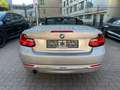 BMW 218 i Cabrio Luxury Line*LEDER*BI-XENON*NAVI*PDC* Argintiu - thumbnail 23