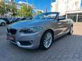 BMW 218 i Cabrio Luxury Line*LEDER*BI-XENON*NAVI*PDC* Argintiu - thumbnail 8