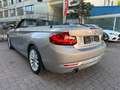 BMW 218 i Cabrio Luxury Line*LEDER*BI-XENON*NAVI*PDC* Argintiu - thumbnail 14
